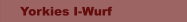 Welpen aktuell